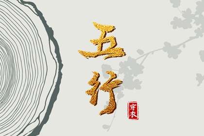 新浪紫微命盘 命盘详细解释 明星紫微斗数命盘 紫微测名 本命盘解析 元亨紫微排盘系统